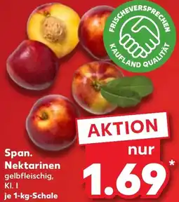 Kaufland Span. Nektarinen Angebot