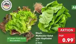 Kaufland Dtsch. Multicolor-Salat oder Kopfsalat Angebot