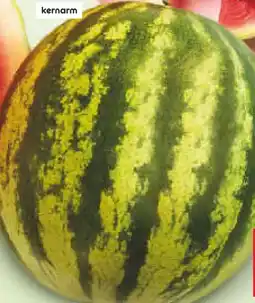Netto Marken-Discount MarktTag Wassermelone Angebot