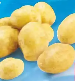Netto Marken-Discount BioBio Bio-Speisefrühkartoffeln Angebot