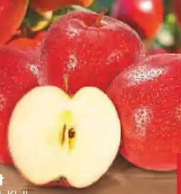 Netto Marken-Discount Ein Herz für Erzeuger Äpfel Angebot