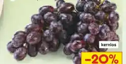 Netto Marken-Discount MarktTag Trauben Angebot