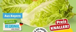 PENNY Marktliebe Regional Romana Salatherzen Angebot
