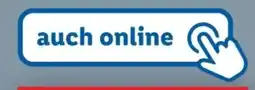 Lidl Action 16 Angebot
