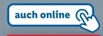 Lidl Action 16 Angebot