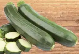 E-Center Zucchini Angebot