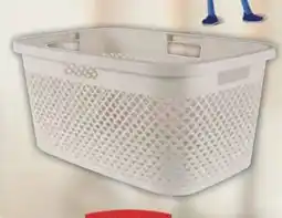 E-Center Curver Wäschekorb Angebot