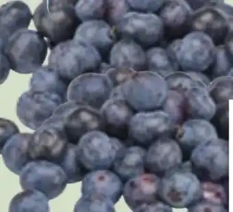 Edeka Xpress Heidelbeeren Angebot