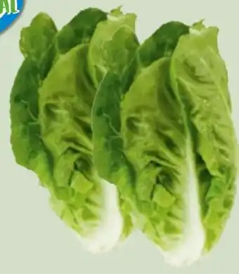 Edeka Xpress Mini-Romanasalat Angebot