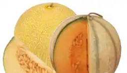 Edeka Bio Galiamelonen Angebot