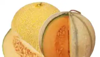 Edeka Bio Galiamelonen Angebot