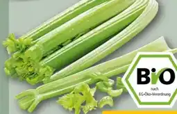 REWE Center Rewe Bio Staudensellerie Angebot