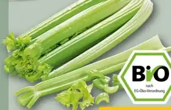 REWE Center Rewe Bio Staudensellerie Angebot