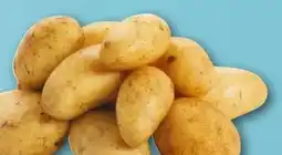 REWE Center Speisekartoffeln Angebot