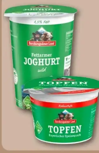 REWE Center Berchtesgadener Land Cremiger Joghurt Mild Angebot