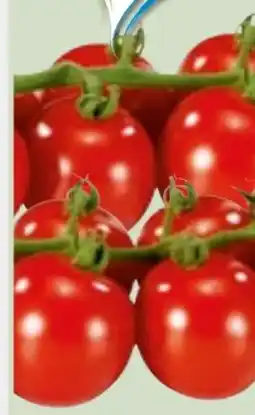 Edeka Xpress Cherry Rispentomaten Angebot
