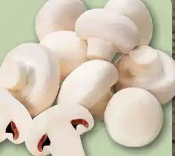 REWE Center Champignons Angebot