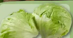 REWE Center Eisbergsalat Angebot