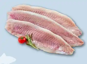 REWE Center Seelachsfilet Angebot