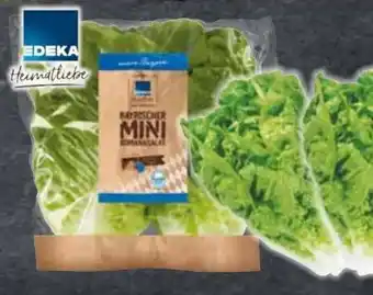 Edeka Edeka Heimatliebe Mini Romanasalat Angebot