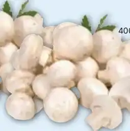Edeka Gut & Günstig Frische Champignons Angebot