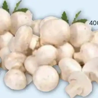 Edeka Gut & Günstig Frische Champignons Angebot