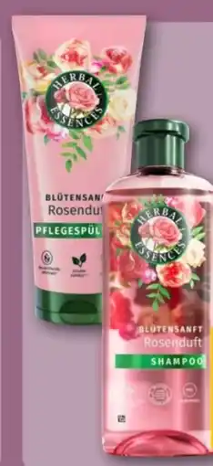 REWE Center Herbal Essences Spülung Angebot