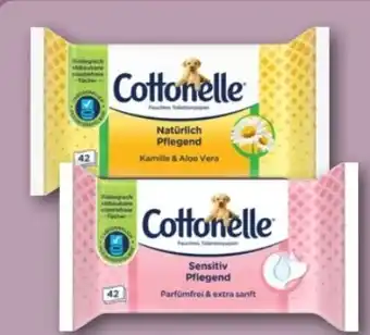 REWE Center Cottonelle Feuchtes Toilettenpapier Angebot