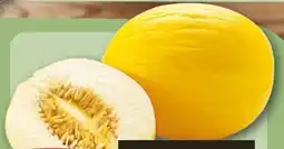 REWE Rewe Beste Wahl Honigmelone Angebot