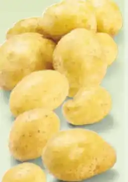 Netto Marken-Discount Ein Herz für Erzeuger Speisefrühkartoffeln Angebot
