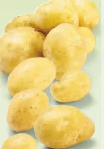 Netto Marken-Discount Ein Herz für Erzeuger Speisefrühkartoffeln Angebot