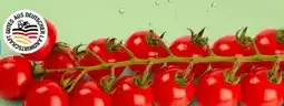 PENNY Marktliebe Regional Mini-Cherry-Rispentomaten Angebot