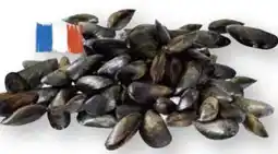 Scheck-in-Center Bouchots-Muscheln Angebot
