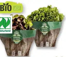Scheck-in-Center Unsere Heimat Bio Bunte Salate Angebot