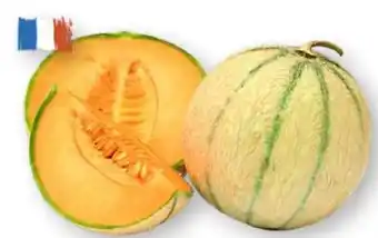 Scheck-in-Center Charentais Melonen Angebot
