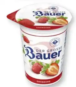 Scheck-in-Center Bauer Der Große Fruchtjoghurt Angebot