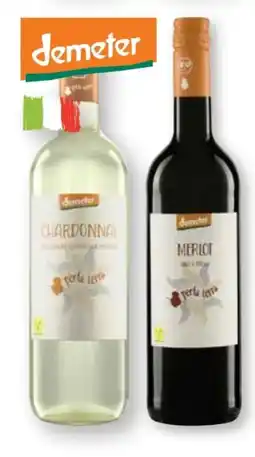 Scheck-in-Center Peter Riegel Perla Terra Bio Chardonnay Angebot