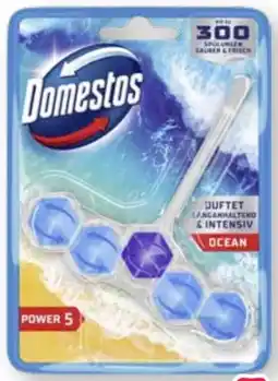 Scheck-in-Center Domestos WC Stein Power 5 Ocean Angebot
