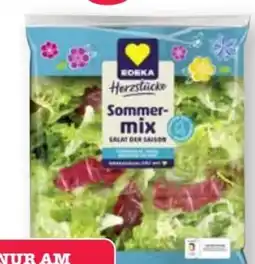 Scheck-in-Center Edeka Herzstücke Sommermix Angebot