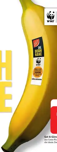 Edeka Gut & Günstig Bananen Angebot