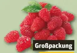 REWE Center Himbeeren Angebot