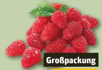 REWE Center Himbeeren Angebot