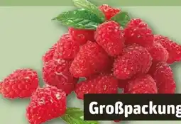 REWE Himbeeren Angebot