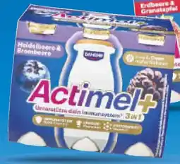 Netto Marken-Discount Danone Actimel Angebot