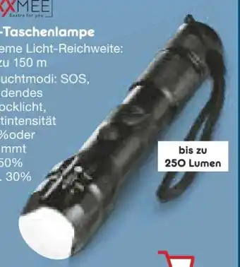 Netto Marken-Discount Maxxmee Akku-Taschenlampe Angebot