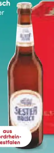 Netto Marken-Discount Sester Kölsch Angebot