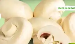PENNY Marktliebe Regional Riesenchampignons Angebot
