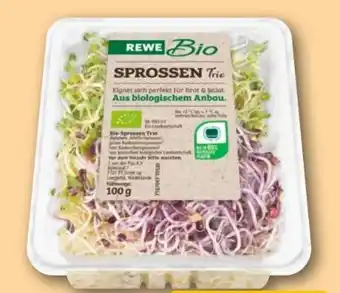 REWE Rewe Bio Sprossen Trio Angebot
