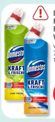 Budni Domestos WC Gel Kraft & Frische Angebot