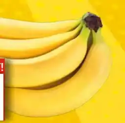 EDEKA Bandelt Edeka Bio Bio-Kulturheidelbeeren Angebot